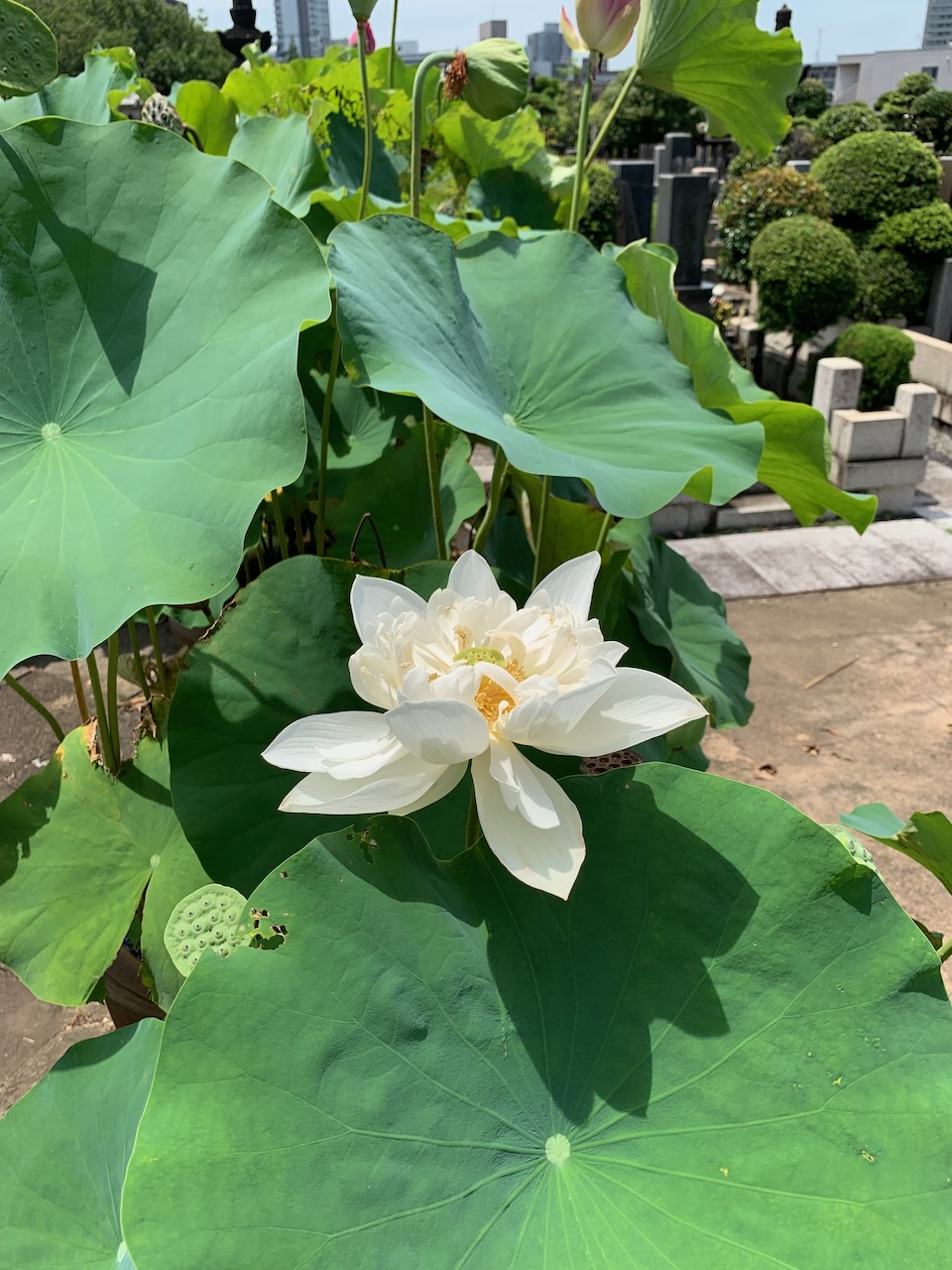 研究室見学，随時歓迎しています！