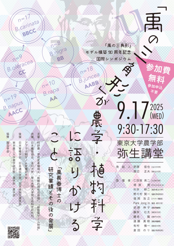 「禹の三角形」シンポで講演します！